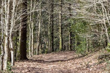 호텔 Domaine De locguénolé & Spa