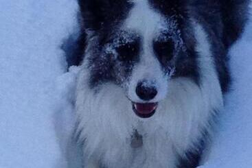 בית מלון כפרי Hôtel Plein Sud Et Piscine