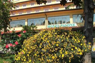 Grand Hotel Pavone