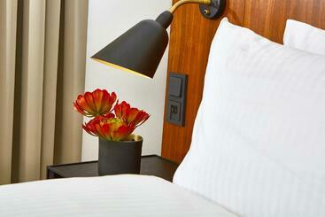 هتل Radisson Blu Saga , Reykjavik