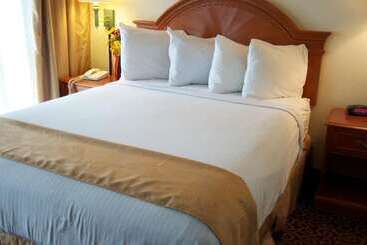 Отель Barcelona Suites