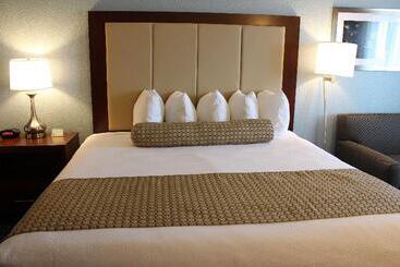 酒店 Best Western On The River