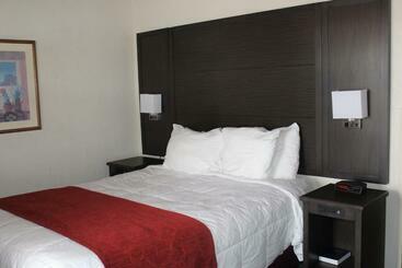 Отель Lamplighter Inn