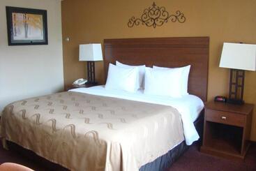 Отель Quality Inn & Suites Downtown