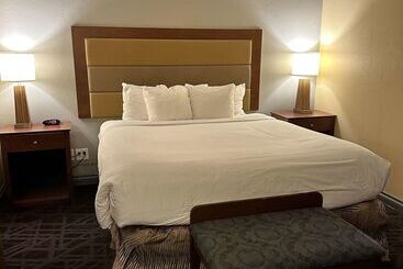 בית מלון כפרי Sure Stay Plus By Best Western Twentynine Palms Joshua Tree