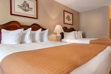 فندق على الطريق Best Western Forest Inn