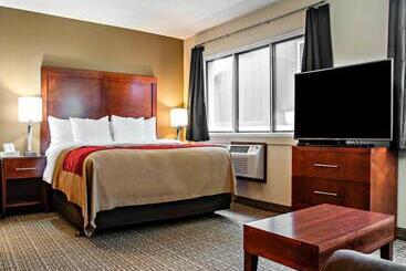 酒店 Comfort Inn