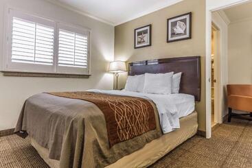 فندق Comfort Inn