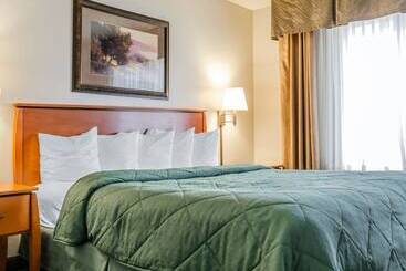 Отель Quality Inn & Suites