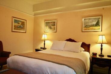 Cornell Hotel De France