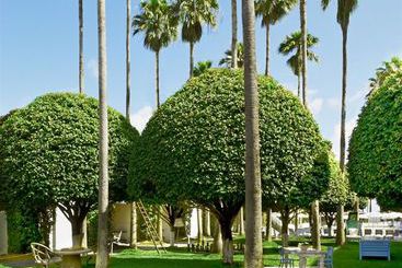 هتل Delano South Beach Miami
