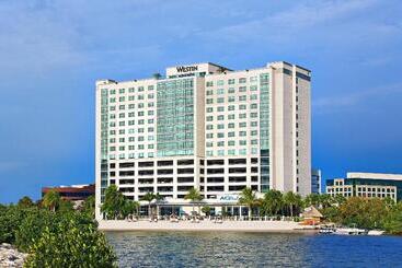 Отель The Westin Tampa Bay