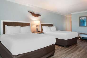 Winter The Dolphin S Beach Club, Ascend Hotel Collection