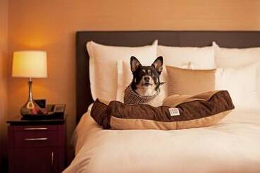 בית מלון כפרי Hyatt Regency Baltimore