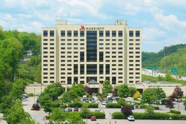 Отель Pittsburgh Airport Marriott