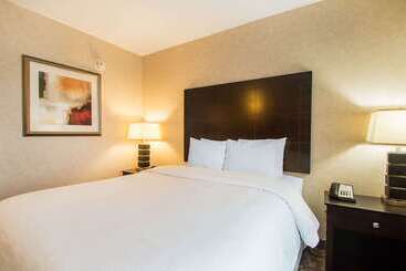 Отель Clarion Inn Elmhurst  Oak Brook Near I88, I290, I294