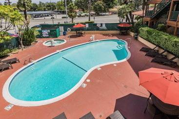 فندق 818  + Pool, Ascend  Collection