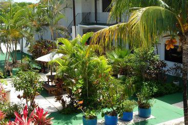 هتل Red Carpet Inn