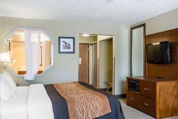 فندق Comfort Inn