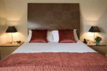 酒店 Premier Suites Plus Dublin Leeson Street