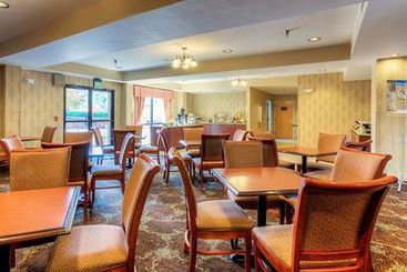 هتل Wyndham Garden Greenville Airport