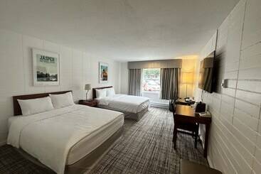 酒店 August Jack Motor Inn