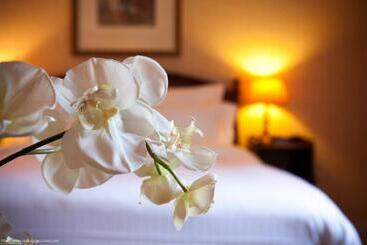 בית מלון כפרי Le Manoir De Gressy