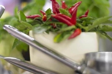 Adler Hotel & Restaurant Groß Gerau