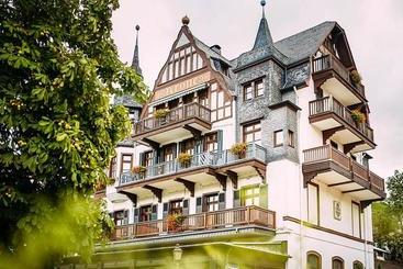 هتل Krone Assmannshausen
