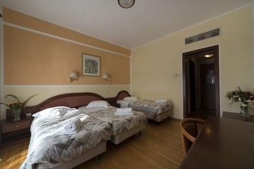 هتل Delphi Palace