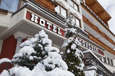 בית מלון כפרי Sassongher