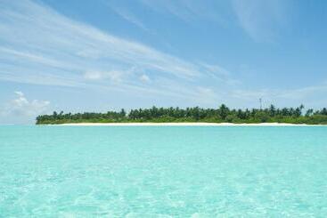 Отель Palm Garden