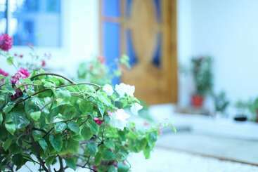 Apartamentos turísticos Moodhu Surf House