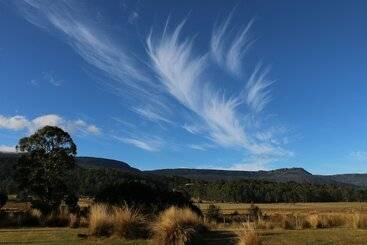 هتل Forest Walks Lodge