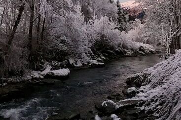Bed and Breakfast Chalet Tioli