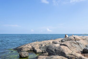 هتل First Camp Gunnarsö Oskarshamn