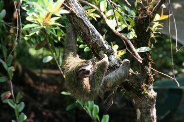 관광객 아파트 Residencia Natural