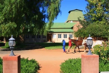 פנסיון Savanna Guest Farm