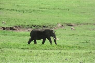 هتل Sundown Carnival Lodge