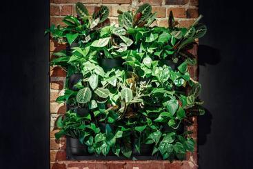 Отель Winewood Moscow