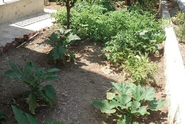 관광객 아파트 Irene Studio