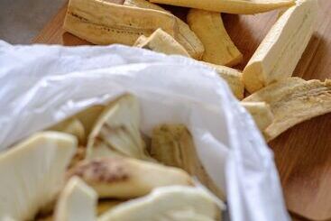 پانسیون The Lion House Jamaica