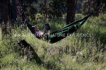 Отель Bedroll And Breakfast  Campground