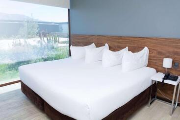ホテル Park Inn By Radisson Los Olivos De Vallenar