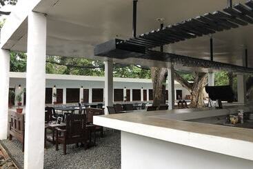 Alesseo Backpackers   Hostel