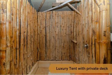 فندق Crocodile Bridge Safari Lodge