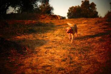 هتل روستایی Biovilla Sustentabilidade