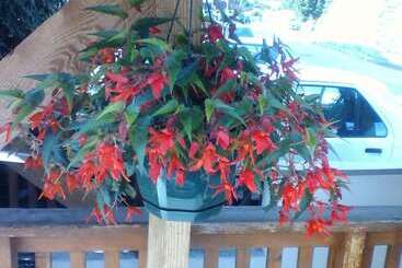 ホテル Hôtel Restaurant La Croix Jean Claude