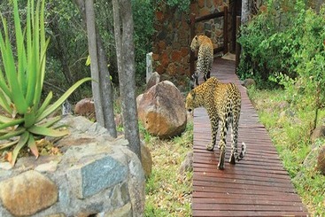 فندق Leopard Hills