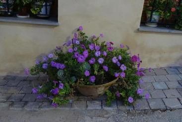 Casa Rural Francisca